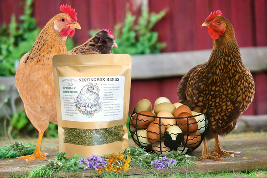 How Nesting Box Herbs Can Improve Egg Production & Chicken Health
