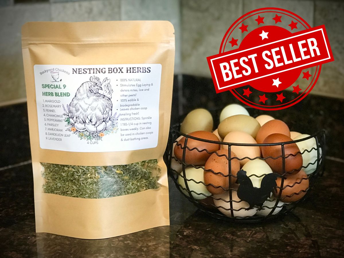 Nesting Box Herbs