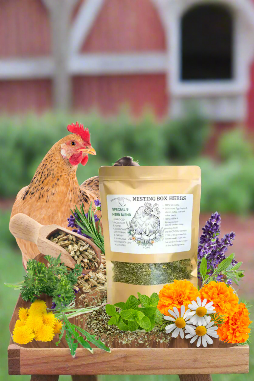 DIY vs. Pre-Made Nesting Box Herbs: Which Is Best for Your Flock?