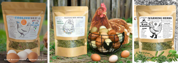 Ultimate Guide to Chicken Nesting Box Herbs