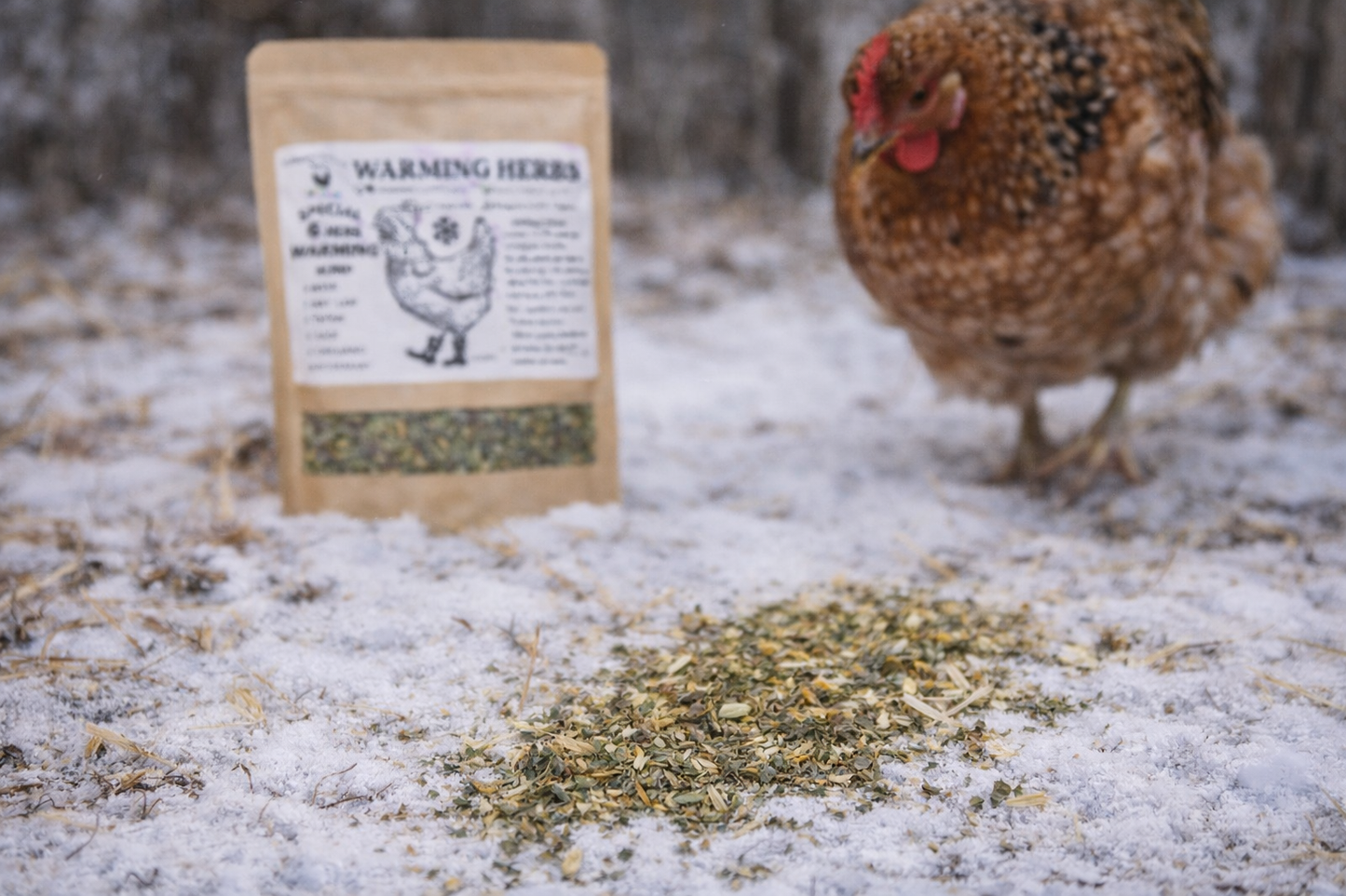 Warming Herbs for Chickens