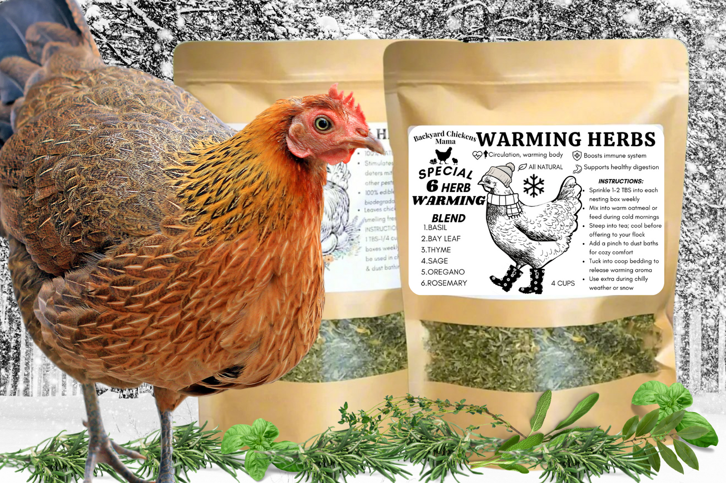 Warming Herbs for Chickens
