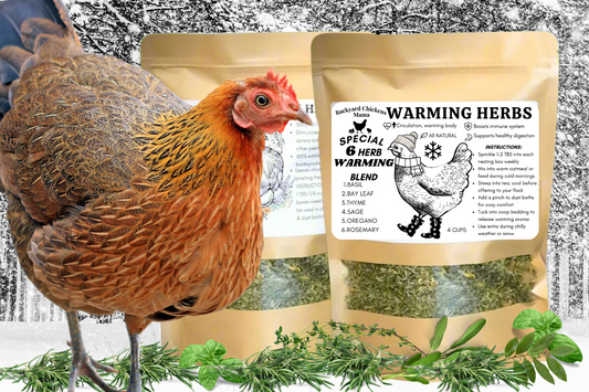 Warming Herbs for Chickens